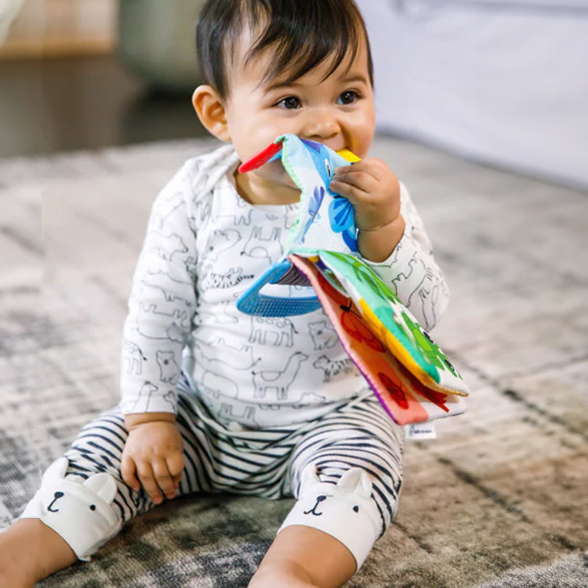 Baby Einstein Curious Explorers Teether Book