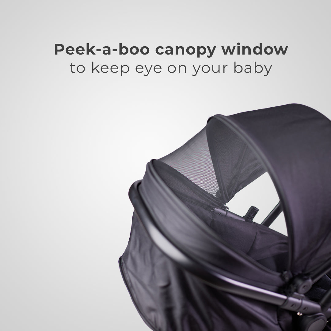 Onida Flex II Black Travel System